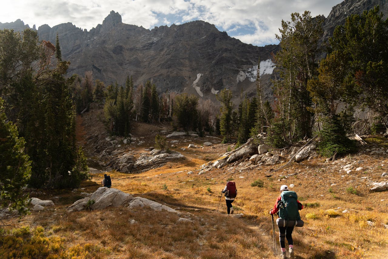 Free stock photo of a beautiful view, adventure, autumn